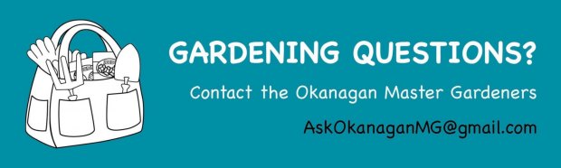 Ask a Master Gardener