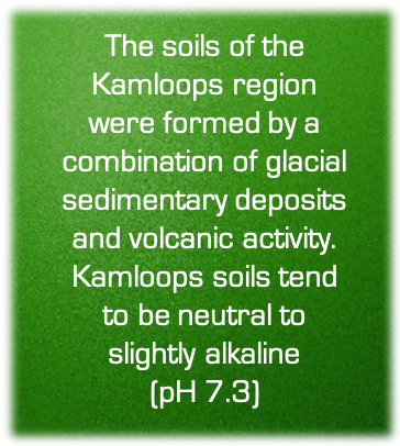 Kamloops