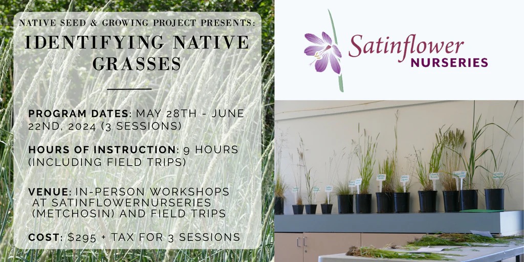 Satin Flower Grass Workshop