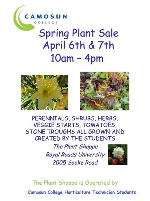 CC Student Plant Sale 2024